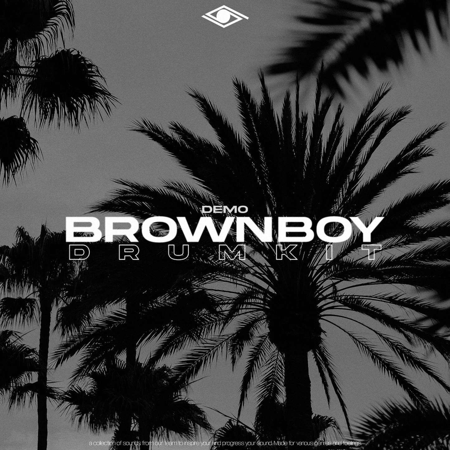 VISIONARY - BROWN BOY DRUMKIT (DEMO)