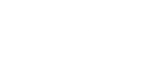 Visionary Audio logo